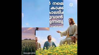 Karakavinjozhukum karunayin karangal devotional song karaoke with lyrics