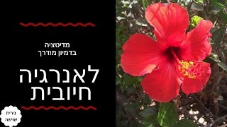 דמיון מודרך לאנרגיה חיובית  - נירית שוישה