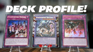 March 2024's Top Contender: Unleashing the Dinomorphia Deck | Yu-Gi-Oh! Elite