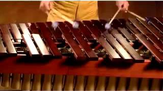 Nebojsa Jovan Zivkovic and the Yamaha Marimbas