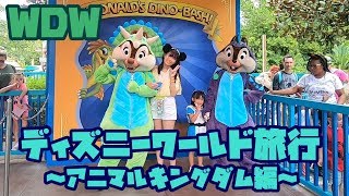 WDW旅行記 ディズニーワールド～アニマルキングダム編～