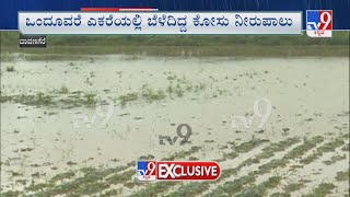 Rains Wreak Havoc In Davanagere | ಮಳೆ ರಗಳೆಗೆ ಕಂಗಾಲಾದ ದಾವಣಗೆರೆ ಜಿಲ್ಲೆಯ ರೈತರು