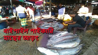 বাইপাইল পাইকারি মাছের আড়ৎ ||  Wholesale fish market in Bangladesh || #fish #fishmarket #fishvideo