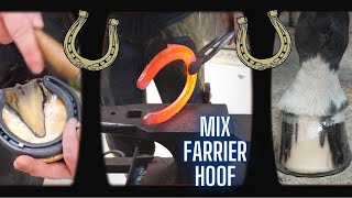 Farrier hoof restoration... episode 8