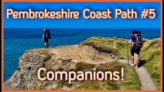 Pembrokeshire Coast Path #5 (Companions! ) Fishguard to St Dogmaels