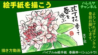 三大香木と言われる 沈丁花を描いてみました。春は沈丁花、夏はクチナシ、秋は金木犀です。