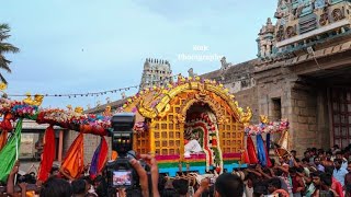 Thiruvaiyaru Nandiyemperuman Pallaku  going to Thirumalapadi