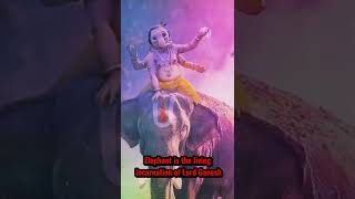 why Hindus worship elephants