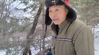 东北取暖不花一分钱，全靠上山去捡，70多岁的老妈上山健步如飞