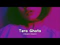 Tera Ghata - Slowed & Reverb - Gajendra Verma