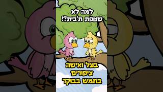 ויכוח בין ציפורים