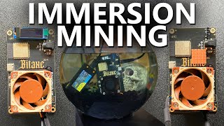 We Need To Start Immersion Mining With The BitAxe Max