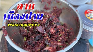 ลาบจิ้น สูตรเมืองปาน พริกลาบลูกขุนนึงลำปางหนา