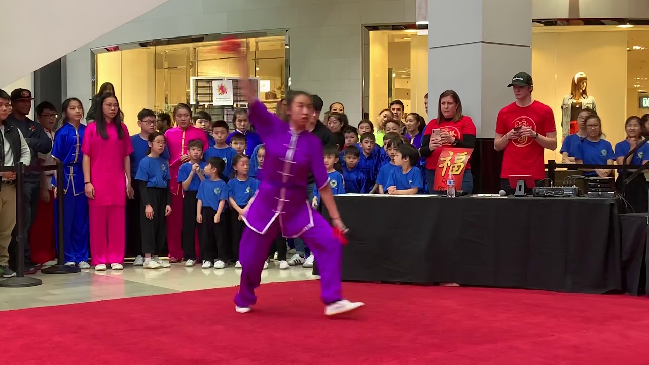 Wushu Martial Art Performance Part 13 Youtube
