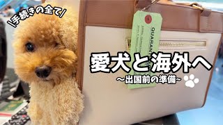 愛犬と海外へ〜出国前の準備〜