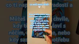 CO MÁŠ DNES VĚDĚT 🤍🕊️ #karty #tarot #vzkaz