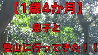 【1歳4か月】子供と登山してきた。