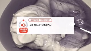 07년생 인플루언서 학폭 터짐 ㄷㄷ 네이트판 시리즈액괴 소규모 소시액 대규모대시액공론화 에스크삶체험 무편집영상공유양식고딕파연카 깊나눔윈터마리 계나괴담 짤추천소름썰모음 인격님 무영공