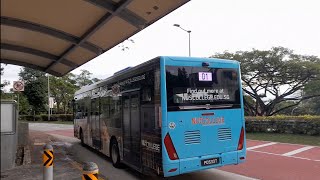 NUS ISB: [PD533T] On Service D1 Departing LT13 Bus Stop Along Kent Ridge Drive