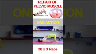 Repair of Pelvic Floor Muscle | One Simple Move #shorts #pelvic #kegel #women #girl #workout