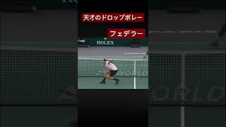 Magic hand, Roger Federer 【Federer vsNishikori】 #tennis #shortvideo #athlete #テニス #ショート #スポーツ