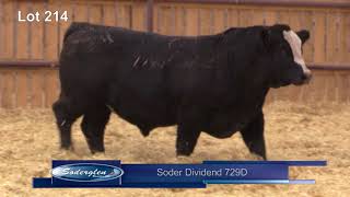 Lot 214 Soderglen Select 2018  Bull Sale Black Simmental