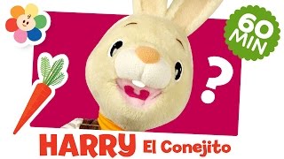 Enseñar a Niños Nuevas Palabras | Nuevas Juguetes de Bebes | Videos Educativos de Niños | BabyFirst