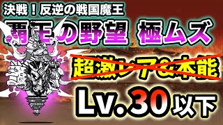 決戦！反逆の戦国魔王(冠1) - 覇王の野望 極ムズ　超激レアなし\u0026本能なし・レベル30以下で攻略【にゃんこ大戦争】