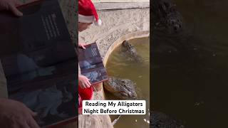 Reading My Alligators Night Before Christmas 😱📕🎄🐊#shorts #christmas