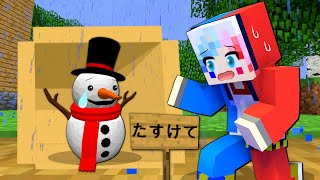 迷子になった雪だるまをお母さんの元に届けるマインクラフト☃️【まいくら minecraft】ぽっぴんず