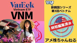 フロンティアマーケットの中心→ベトナム【新興国シリーズ：VNM】ベトナムETFの構成企業とそのリスク