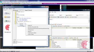 Secploit Exploit Scripting Framework - Fuzzing Stage