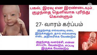 27 வார கர்ப்பம்/27week baby development in womb/27 week baby growth during pregnancy in tamil