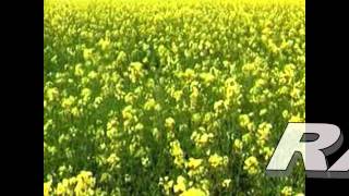 Aaja Ve Full Song [HD] Damadamm (2011) Himesh Reshammiya flv