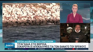 Σοκάρουν οι αποκαλύψεις για τον θάνατο του βρέφους στη Βέροια | 02/01/2023 | ΕΡΤ