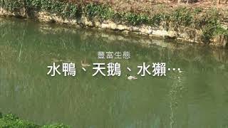 背包客推薦「巴黎溫馨的台灣人民宿」Marina巴黎森林民宿的景緻