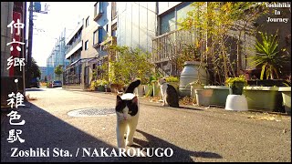 Just Walk in Tokyo NAKAROKUGO＆Zoshiki Sta. - 大田区 仲六郷・雑色駅 - 4K HDR - 120kcal