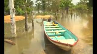 Alerta ecológica en Cosoleacaque tras inundaciones