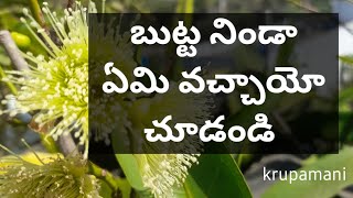 బుట్ట నిండా ఏమి వచ్చాయో చూడండి