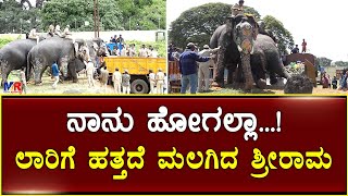 ನಾನು ಹೋಗಲ್ಲಾ...!ಲಾರಿಗೆ ಹತ್ತದೆ ಮಲಗಿದ ಶ್ರೀರಾಮ | #mediareporters #dasaraelephants #mysoredasara #