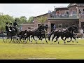 Boyd Exell Dressage Driving Valkenswaard International 2017