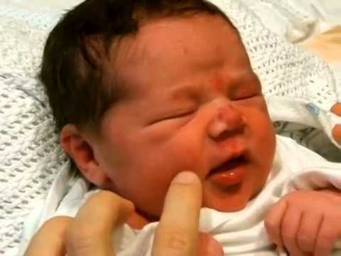Newborn Hunger Cues Newborn Hunger Cues