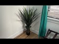 is the nearly natural 4 spiked agave plant worth it