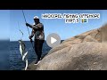 HOW TO CATCH MACKEREL 🇸🇪