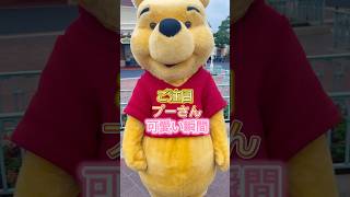 【ご注目！プーさん可愛い瞬間】#pooh#プーさん#プー#ディズニーランド#ディズニー#disneyland#Disney y