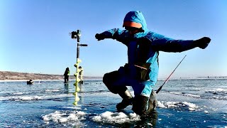 ЗАКИНУЛ В ЛУНКУ И СРАЗУ УДОЧКА ЛЕТИТ ИЗ РУК!!! Зимняя рыбалка. Ловля судака зимой.