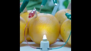 [Japanese Technology at Work] Vitamin Power - Panasonic