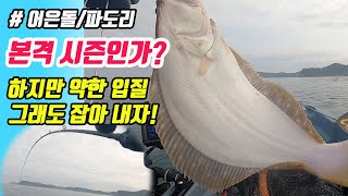 어은돌 광어다운샷 본격 시즌인가?.. 하지만 간사한 입질... 그래도 잡아내자.. / Korea Kayak Fishing HNBKF#200