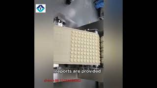 Yanhui Automatic Biscuits Molding Machine Rotary Cookies Moulder Production Line