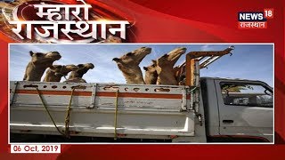 Nagaur पुलिस की बड़ी कार्रवाई, ऊंटों से भरा ट्रक किया जब्त |  Mharo Rajasthan| 06 Oct 2019